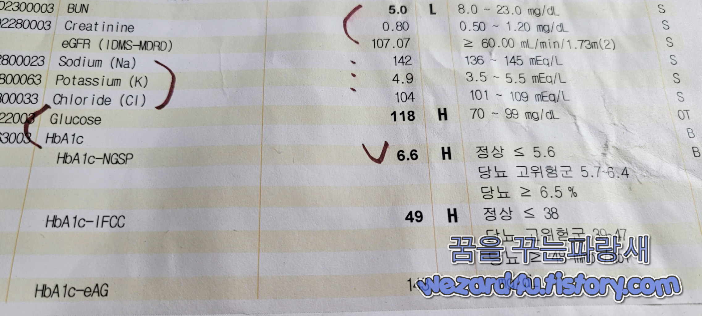 피검사 당뇨 확정