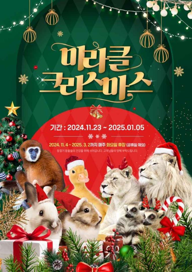 [11월] 대구 네이처파크 미라클 크리스마스 2024.11.23 ~ 2025.01.05