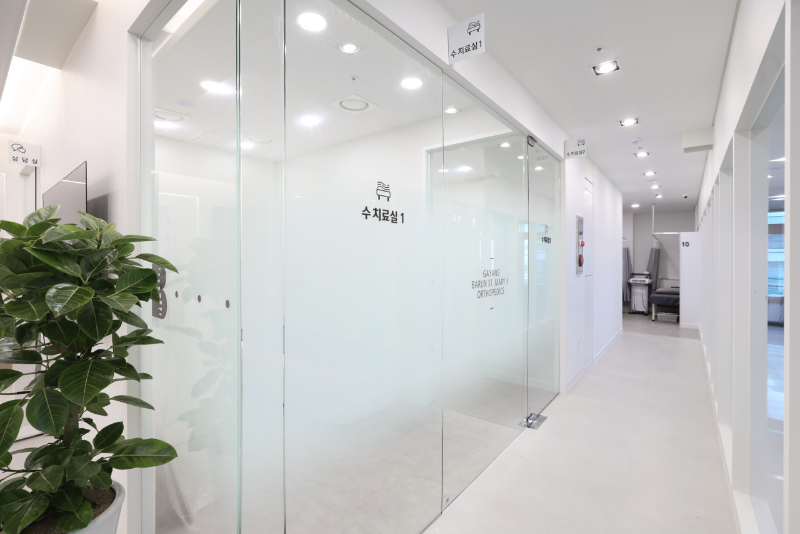 강서구 등촌1동 정형외과 유명하고 잘하는 곳 추천 TOP 5