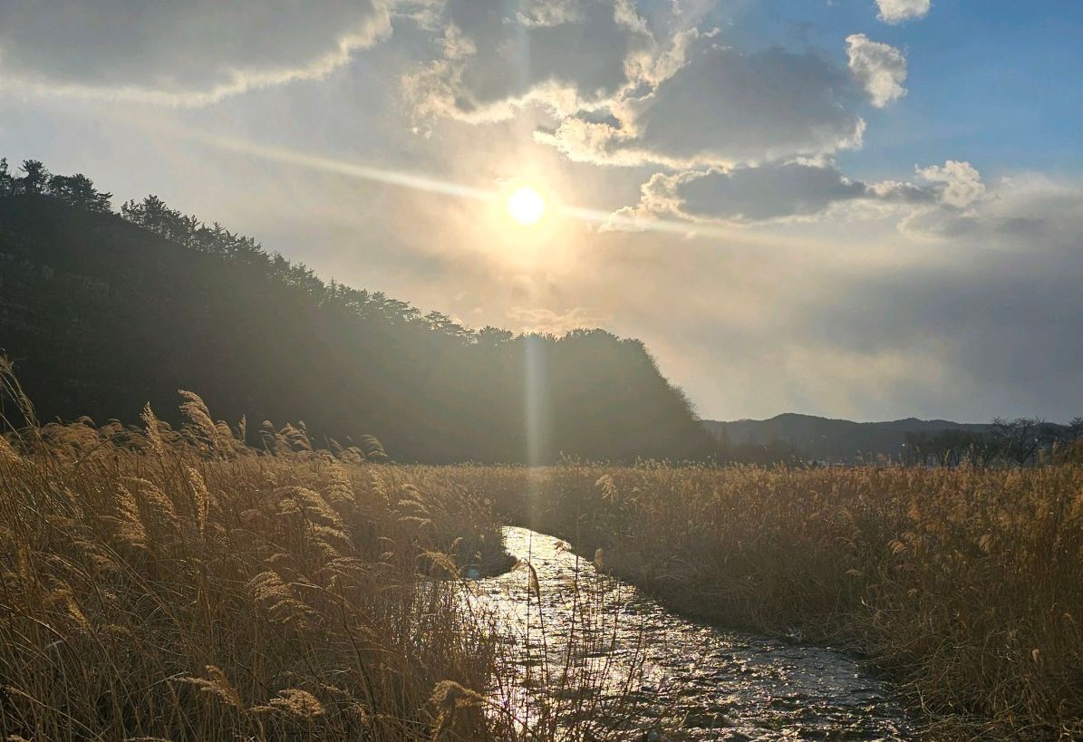 운주산승마자연휴양림