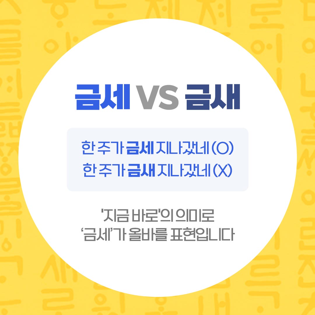 금새와 금세 헷갈리는 맞춤법 검사기