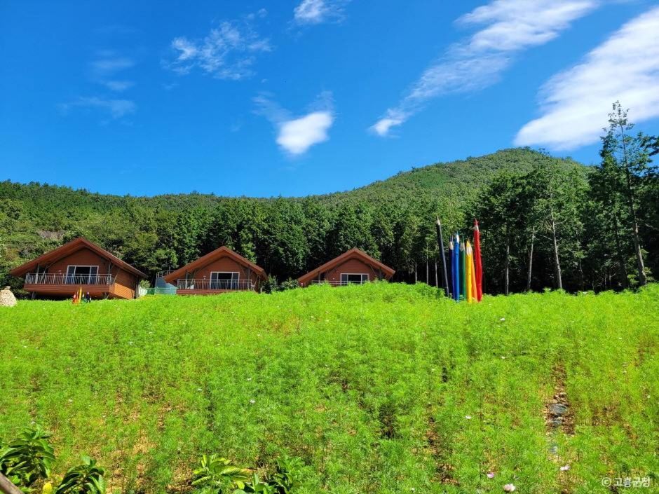 고흥 가볼만한곳 베스트10