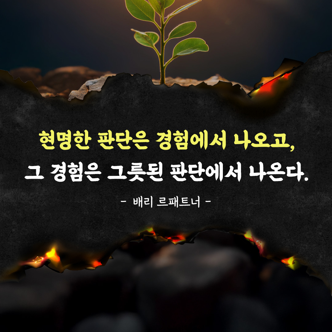 현명한 판단은 경험에서 나오고, 그 경험은 그릇된 판단에서 나온다.
배리 르패트너