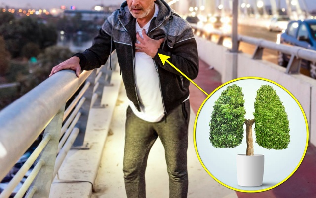 숨이 차는 증상, 폐암 초기 증상, 진행 속도, 건강 팁줌 매일꿀정보