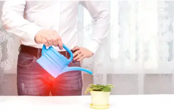 전립선 비대증 증상 및 치료법