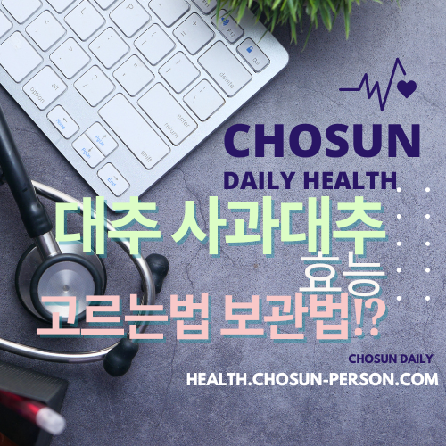 대추 사과대추 효능 대추차 생대추 건대추 고르는법 칼로리 보관법