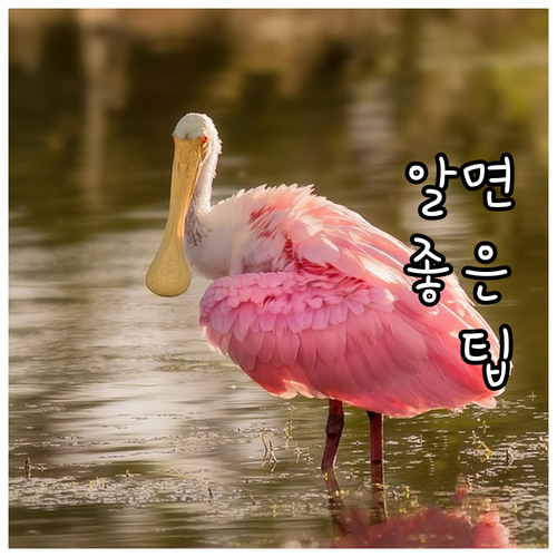 2025년 강릉시 국가유공자 명절 위..