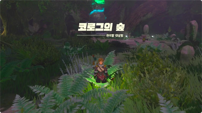 코로그의 숲 진입 완료