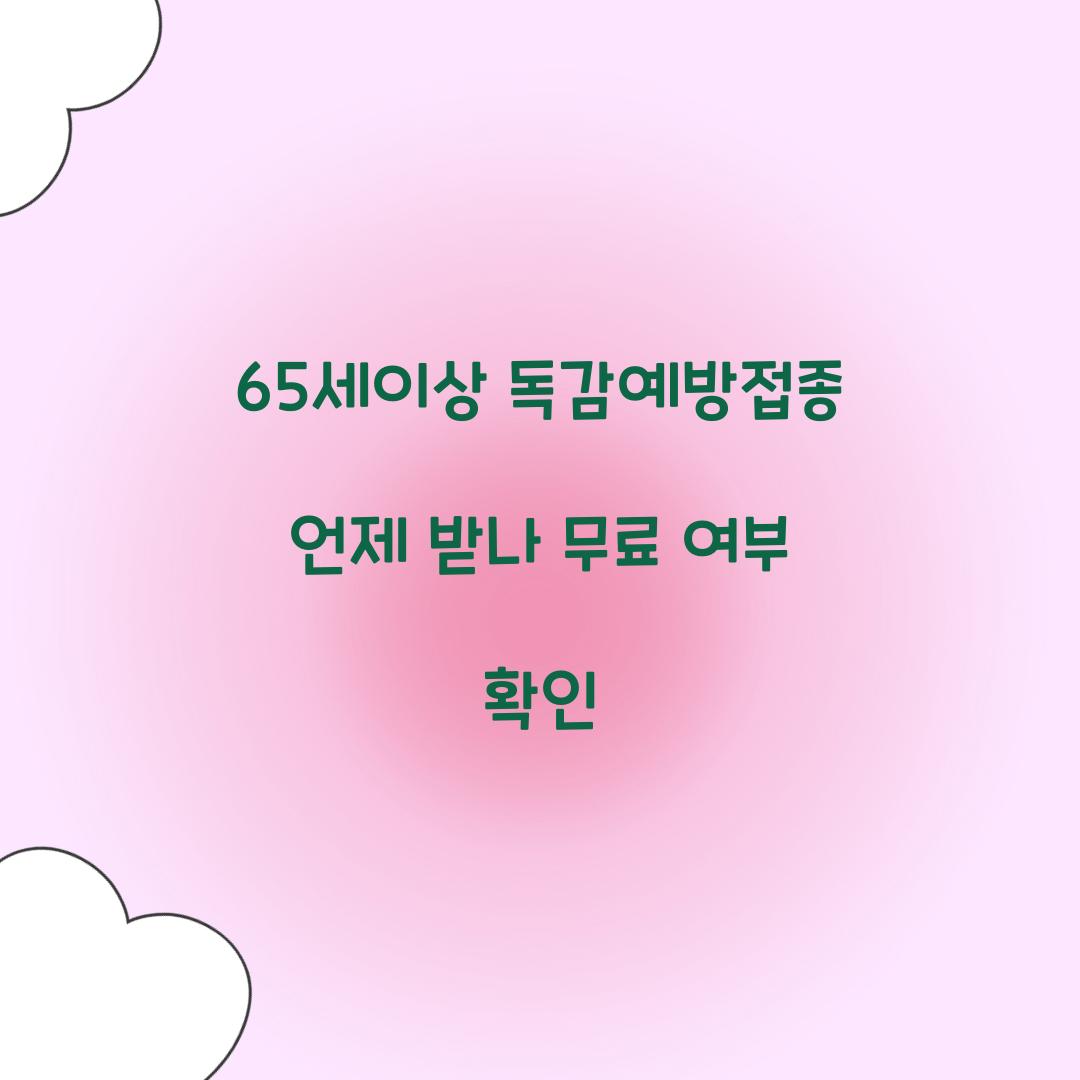 65세이상 독감예방접종