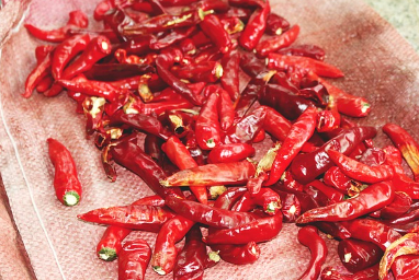 10월 2일 임시공휴일