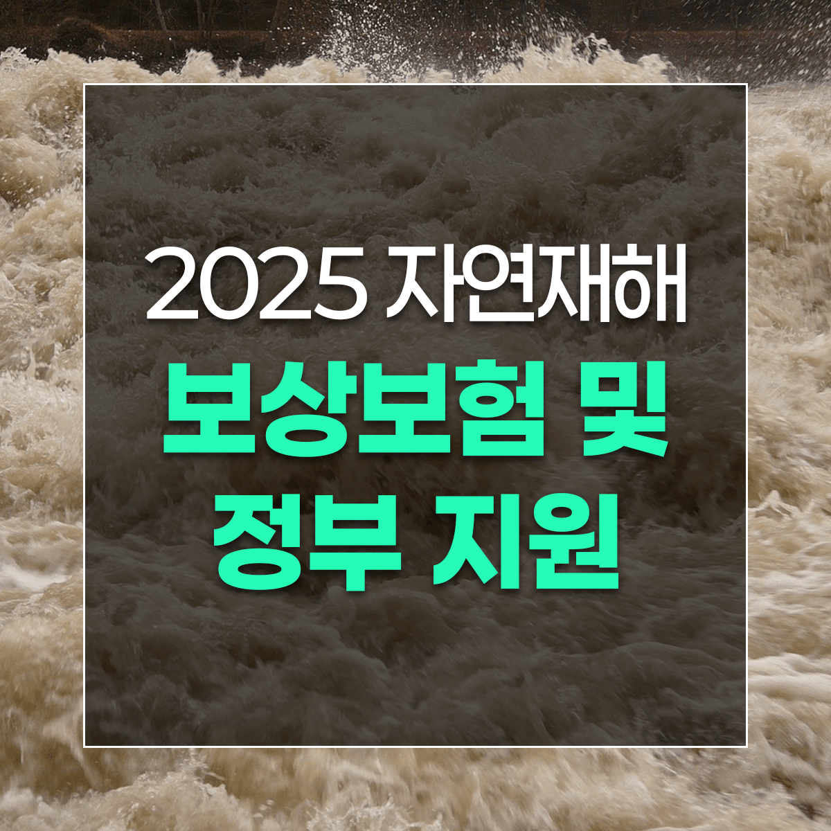 2025 자연재해 보상보험 및 정부 지원