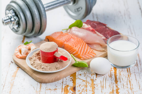 muscle and protein link