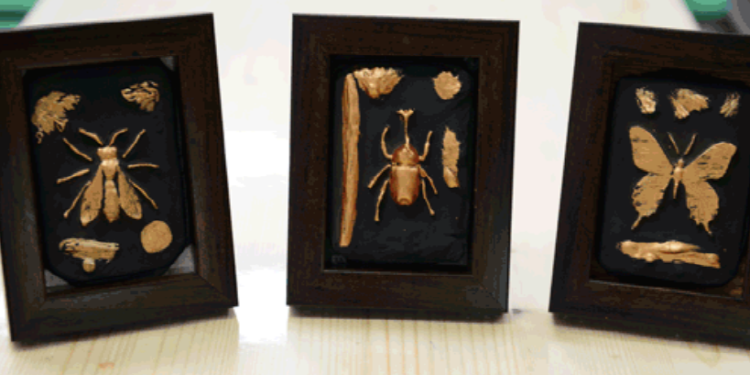 예천 곤충생태원