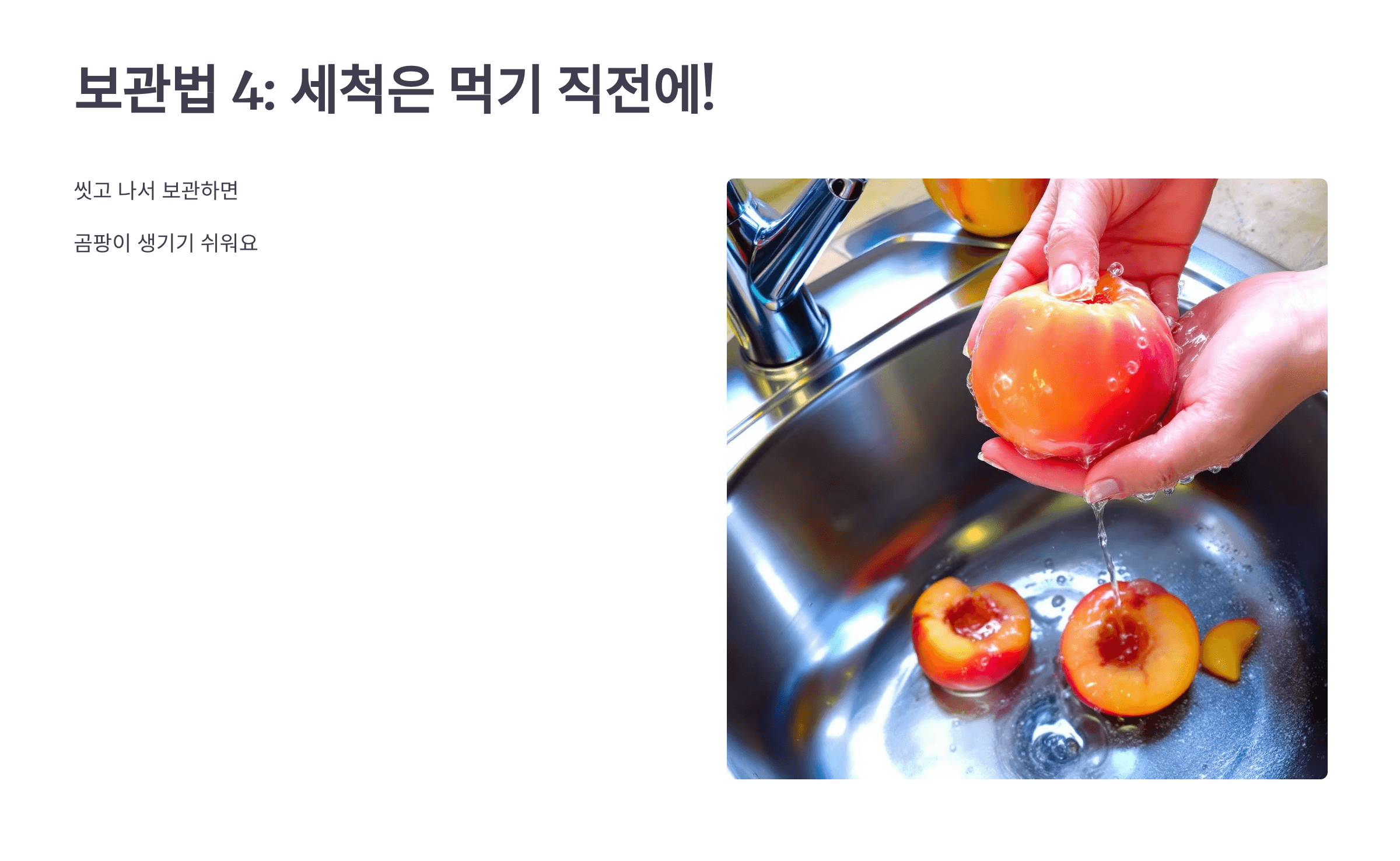 신비 복숭아 사진입니다.