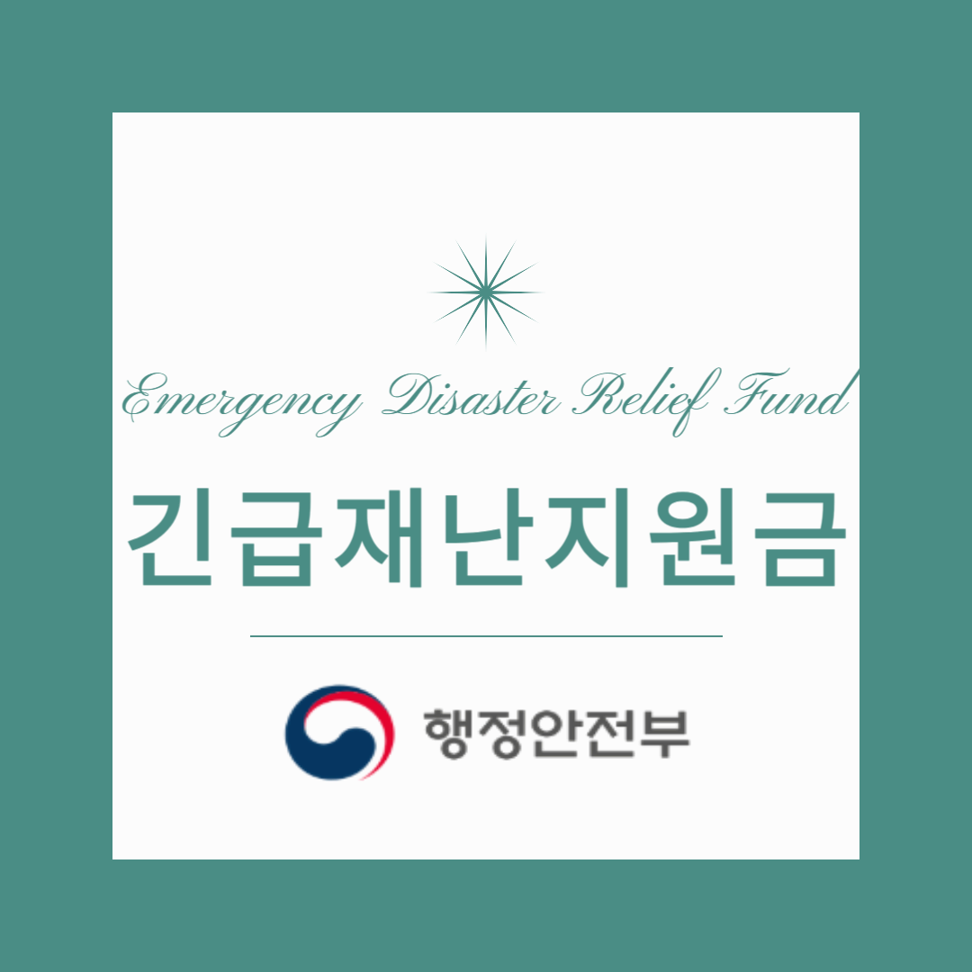 긴급 재난 지원금과 정부 보조금, 뭐가 다를까? 차이점 비교