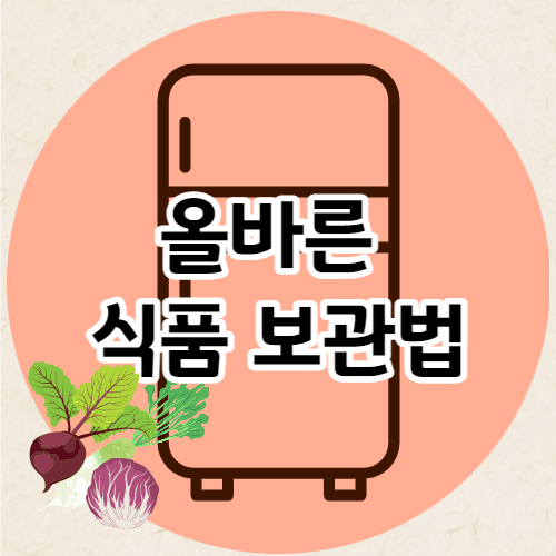 식품 보관법