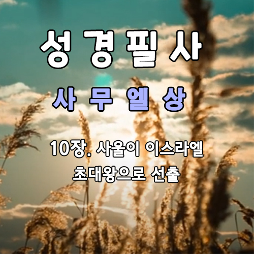 사울이 이스라엘 초대왕으로 선출