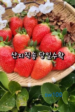 델푸릇 살펴보기 7