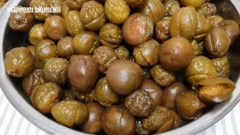 매실청 건더기 활용 처리 방법 정리_8