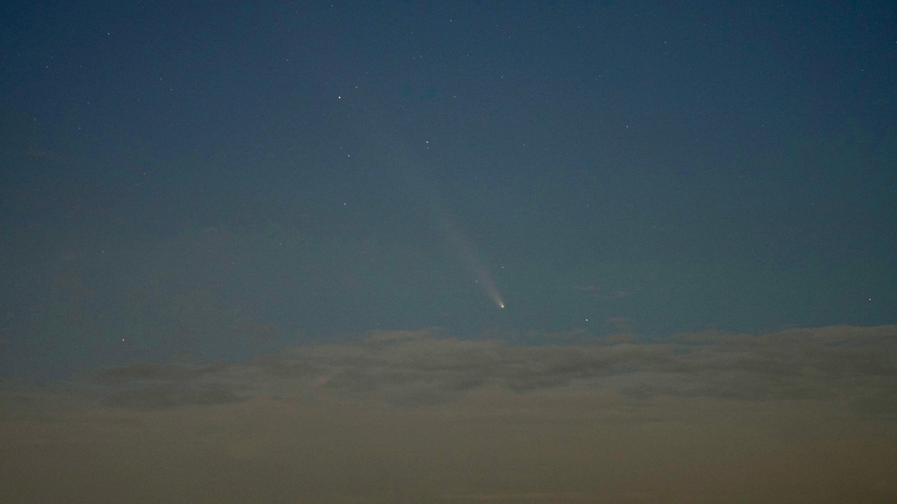 2025년 12월 4주차 별자리 운세