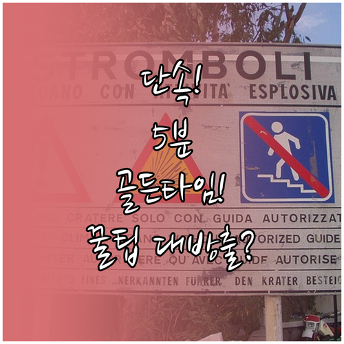 의정부 주정차단속 알림 서비스 5분 ..