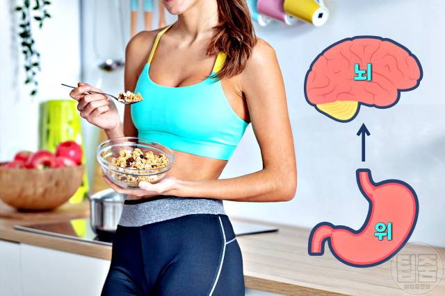 포만감 오래가는 음식 포만감높은음식