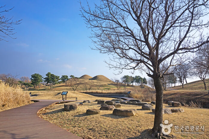 대구 가볼만한 단풍 여행은 어디일까? 대구 단풍 여행 총정리!