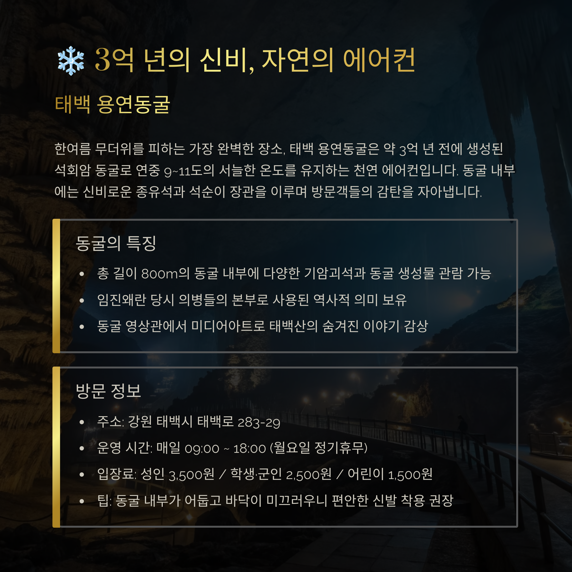 태백 용연동굴: 3억 년 전 신비로운 냉기 속으로