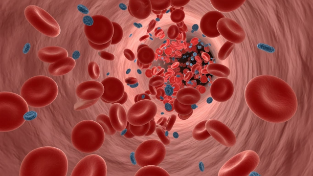 혈관 속 적혈구가 흐르는 시각적 표현