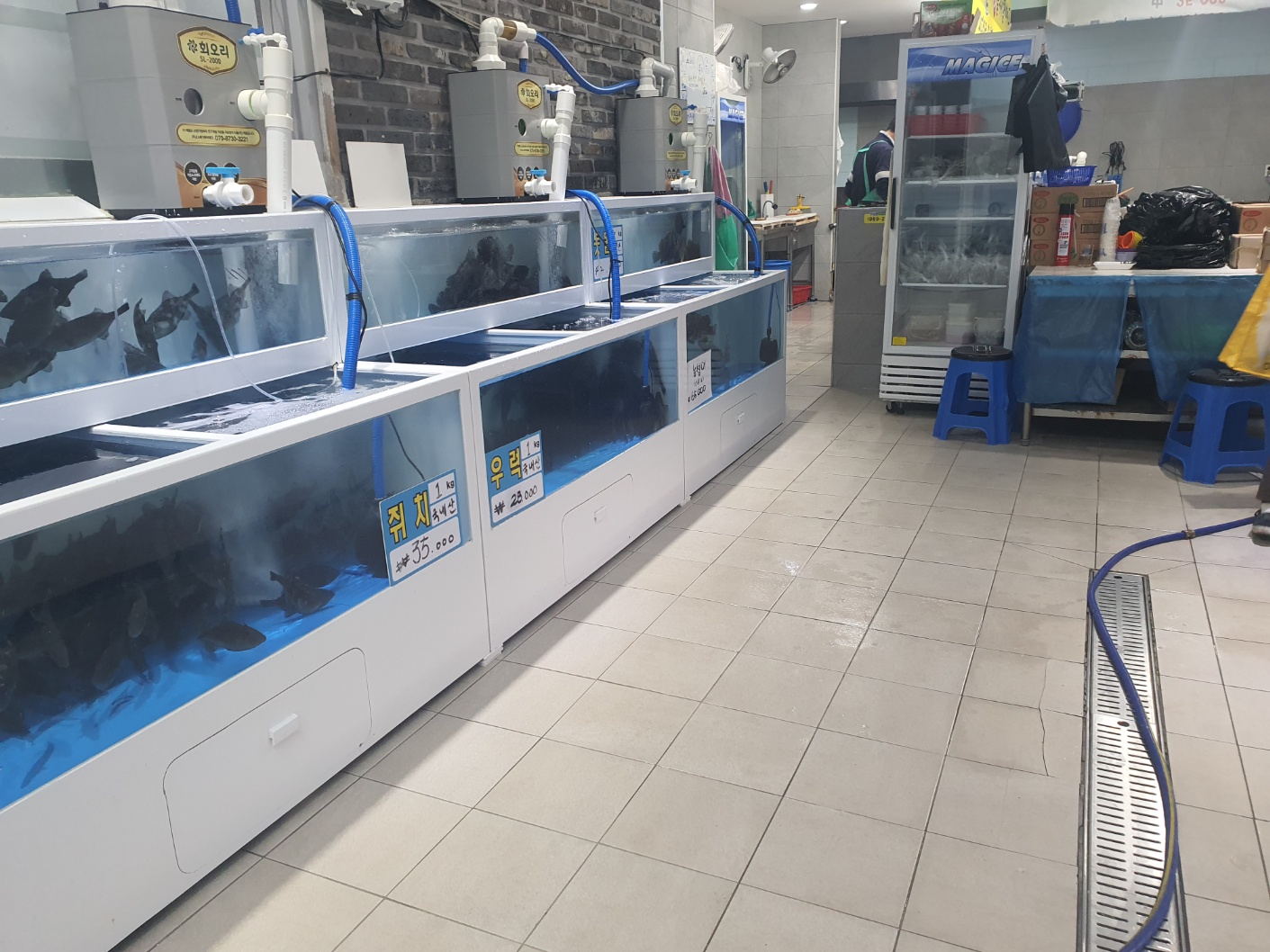 통영회종합수산