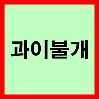 과이불개