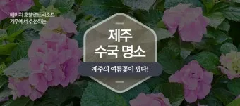 6월 제주도 아이와 함께 가볼만한곳 10곳 완벽 추천 리스트_22