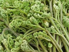 육개장 끓이는 법