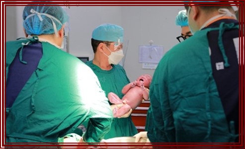 유도분만 과정