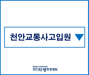 천안 교통 사고 병원