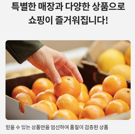 마곡 트레이더스 오픈! 한정판 위스키, 건담부터 가성비 쇼핑 꿀팁 총정리