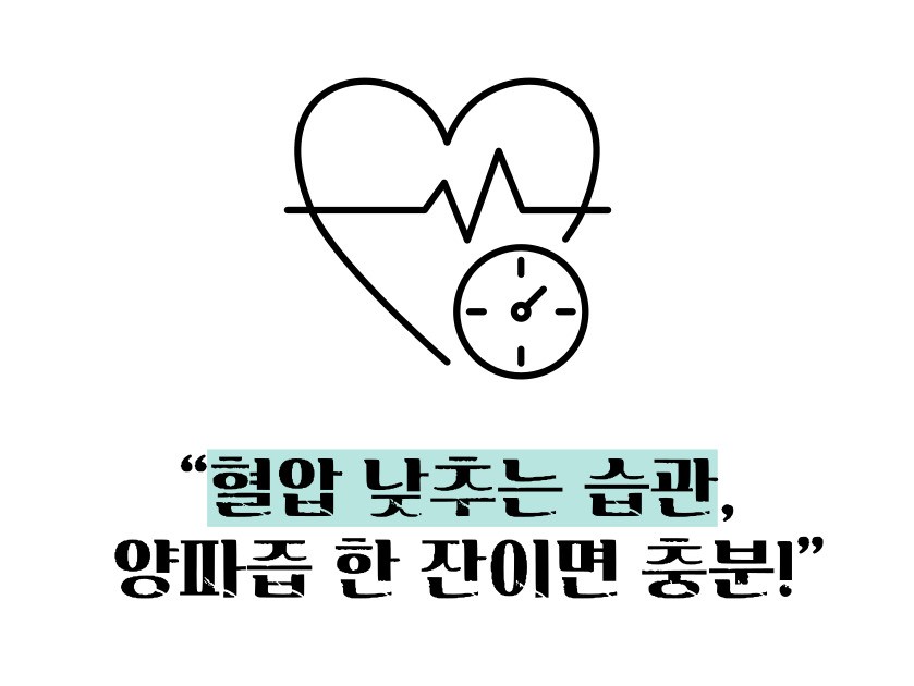 양파즙 효능 고혈압