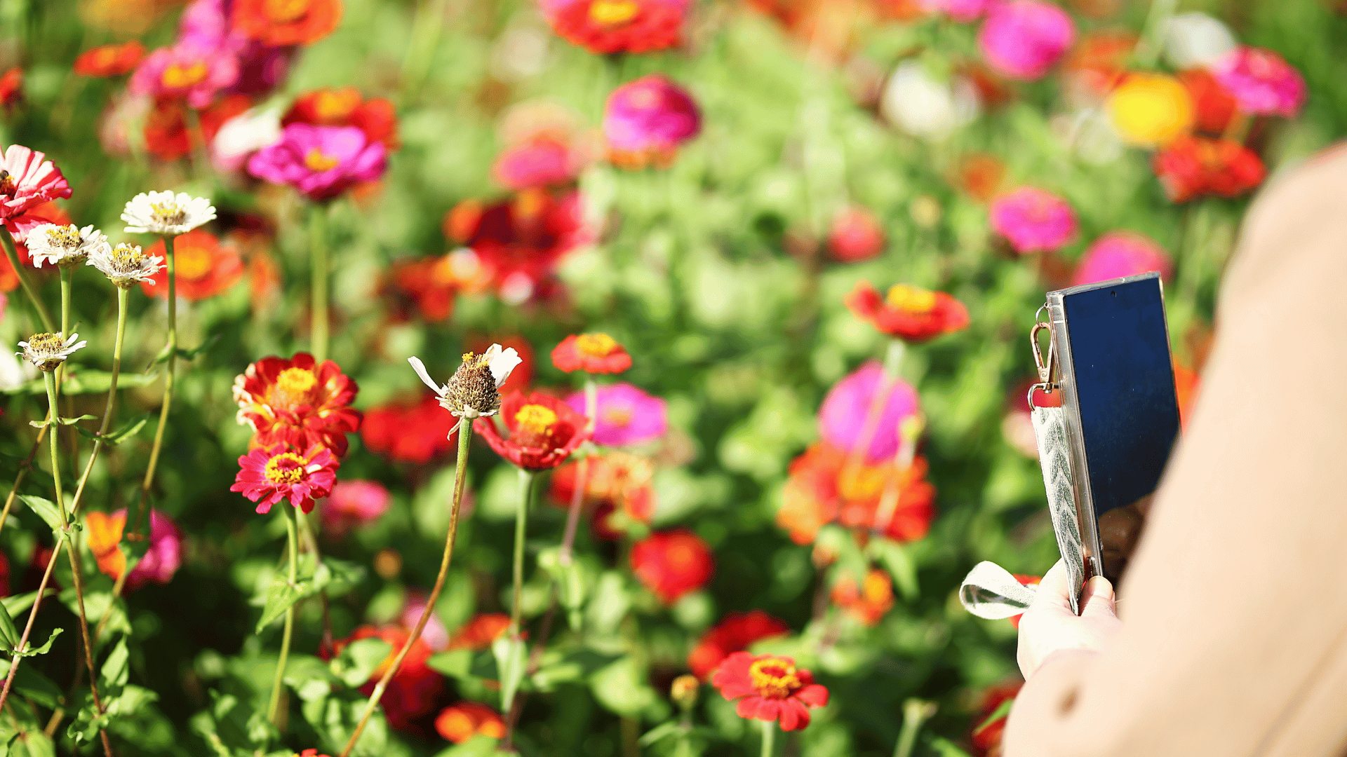 11월에 떠나는 국내 가을 여행지 추천