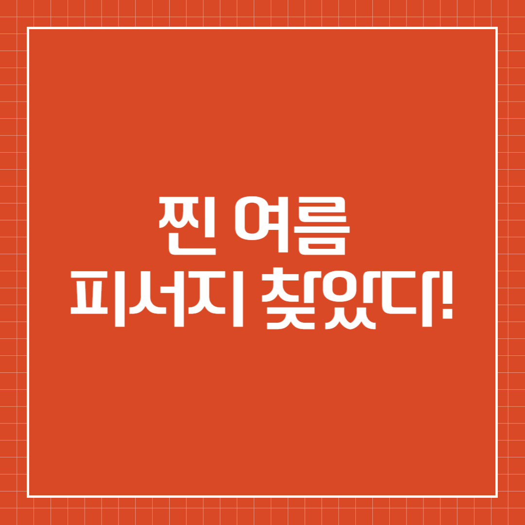 남천계곡 물놀이 축제에서 제대로 놀아보자