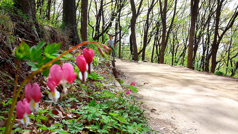 안산자락길(AnsanJarakgil)에서 만나자