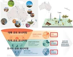 생태계를 해석하지 않고 데이터를 구조화하는 특수직업인, 생태 반응 패턴 데이터 분석가