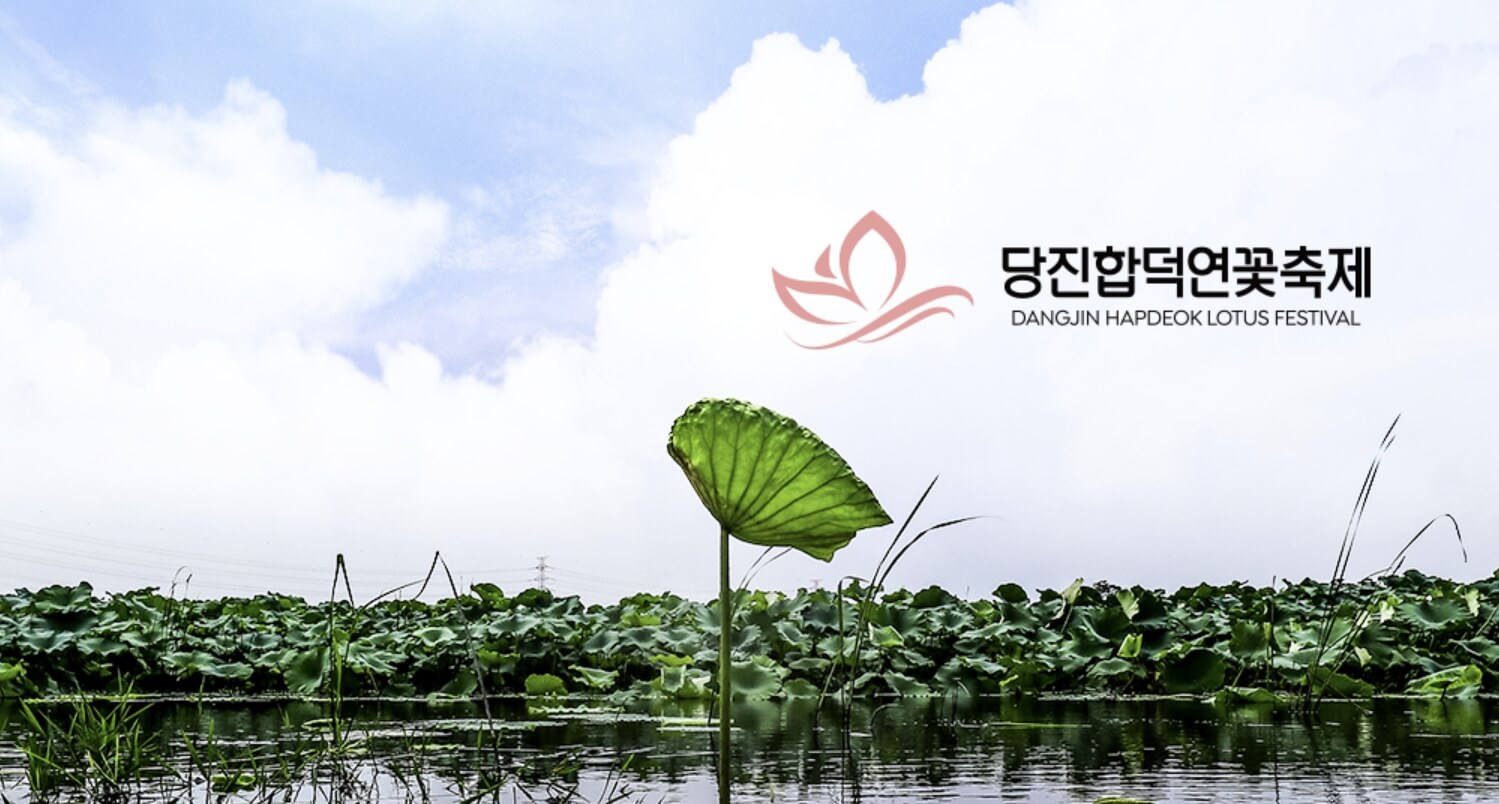 2026 당진 합덕 연꽃축제