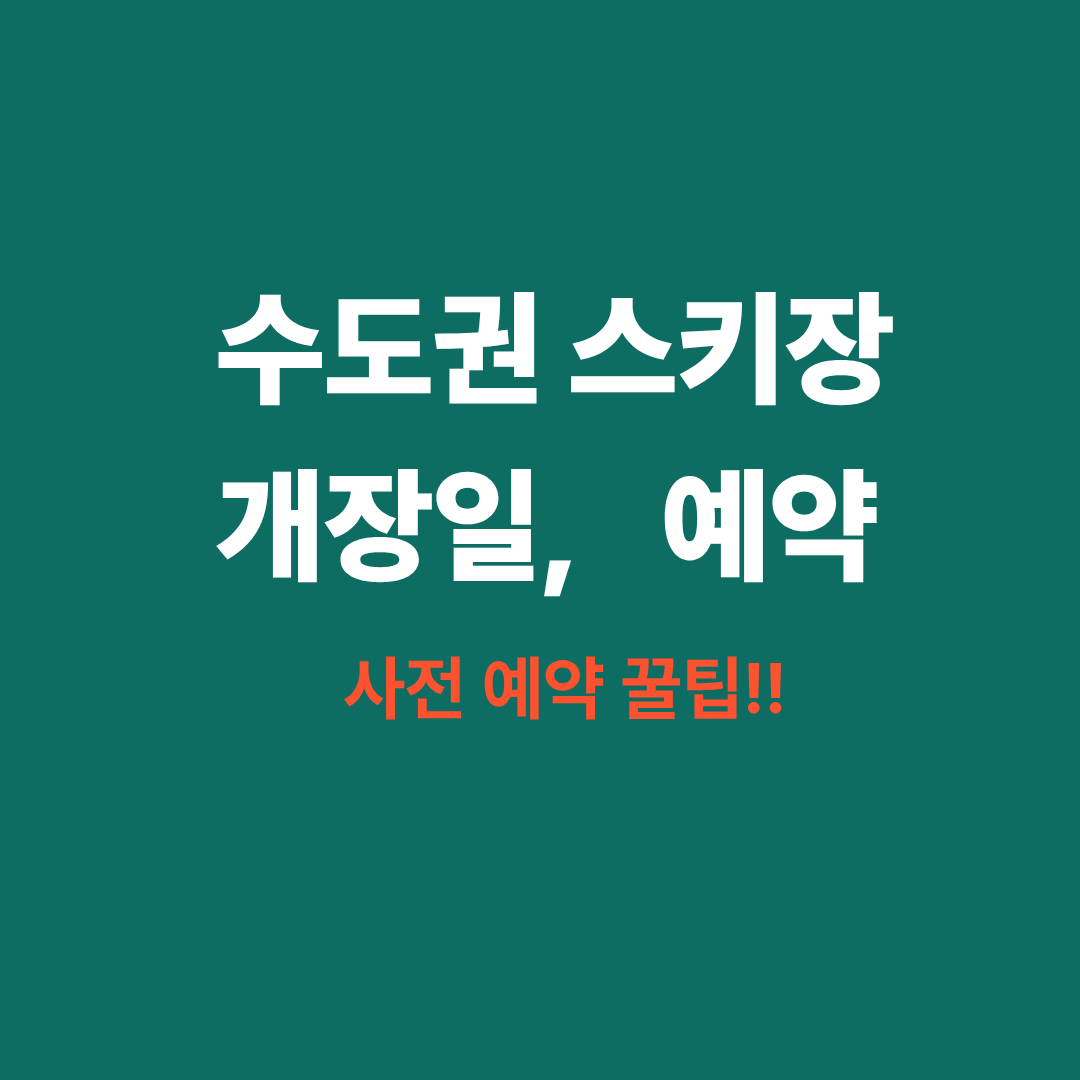 수도권 스키장 개장일 완벽 정리, 예약 꿀팁까지!