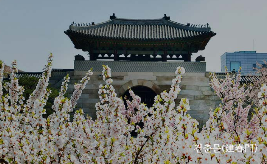 경복궁 야간개장