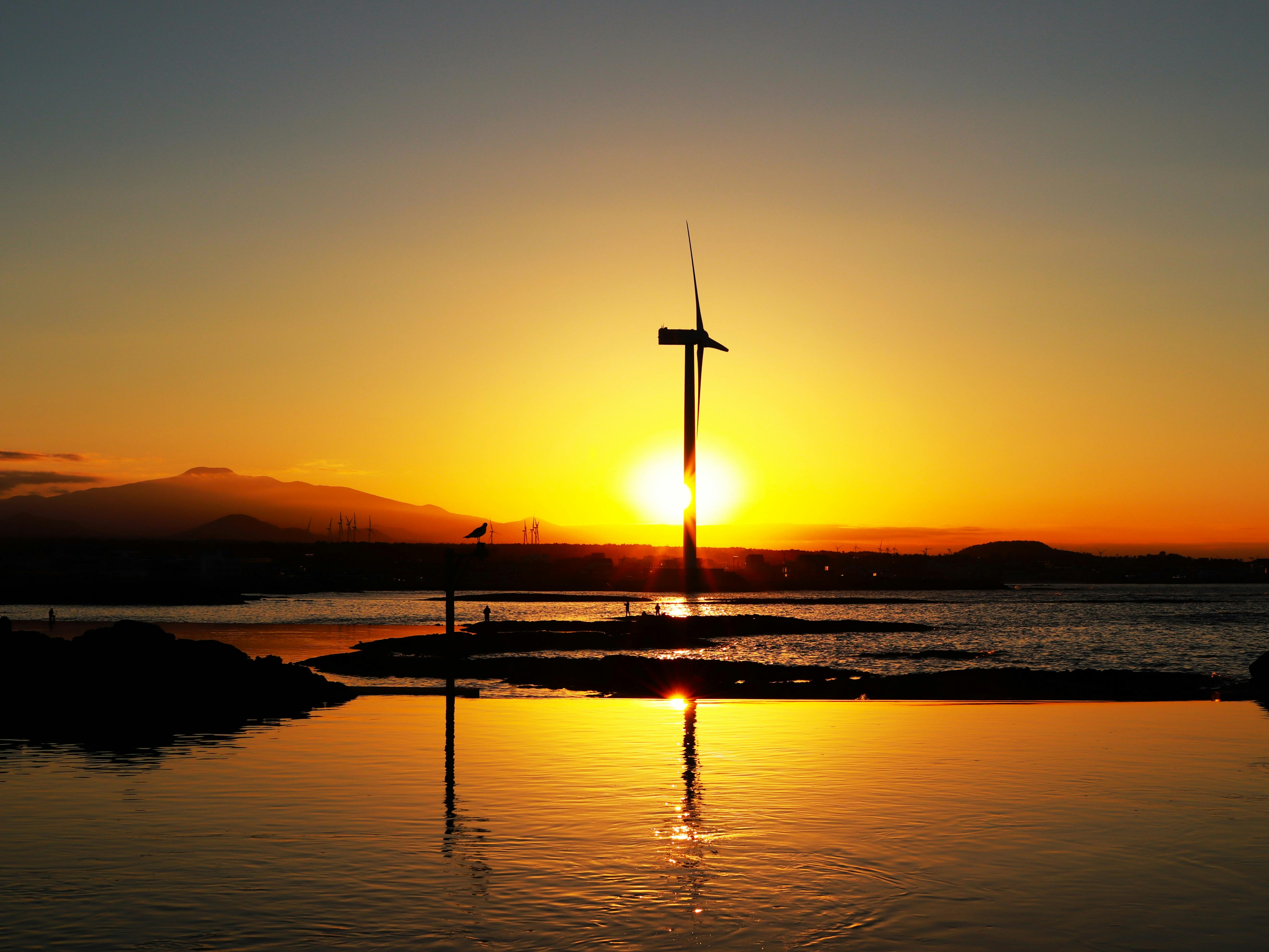 새해 다짐 영어로 말하기