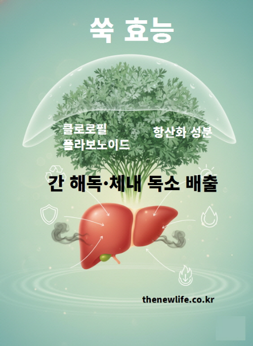 쑥 효능을 나타내는 간 해독 일러스트 – 클로로필과 플라보노이드 성분이 체내 독소를 배출하는 모습을 표현