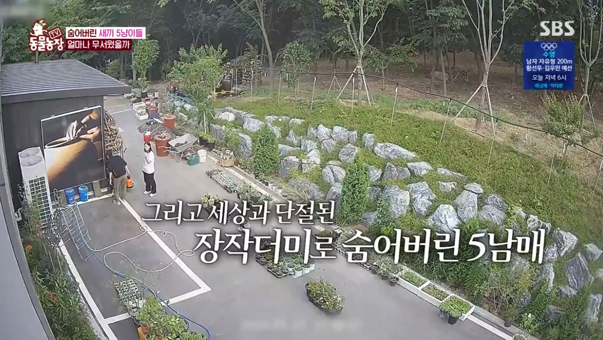 동물농장
