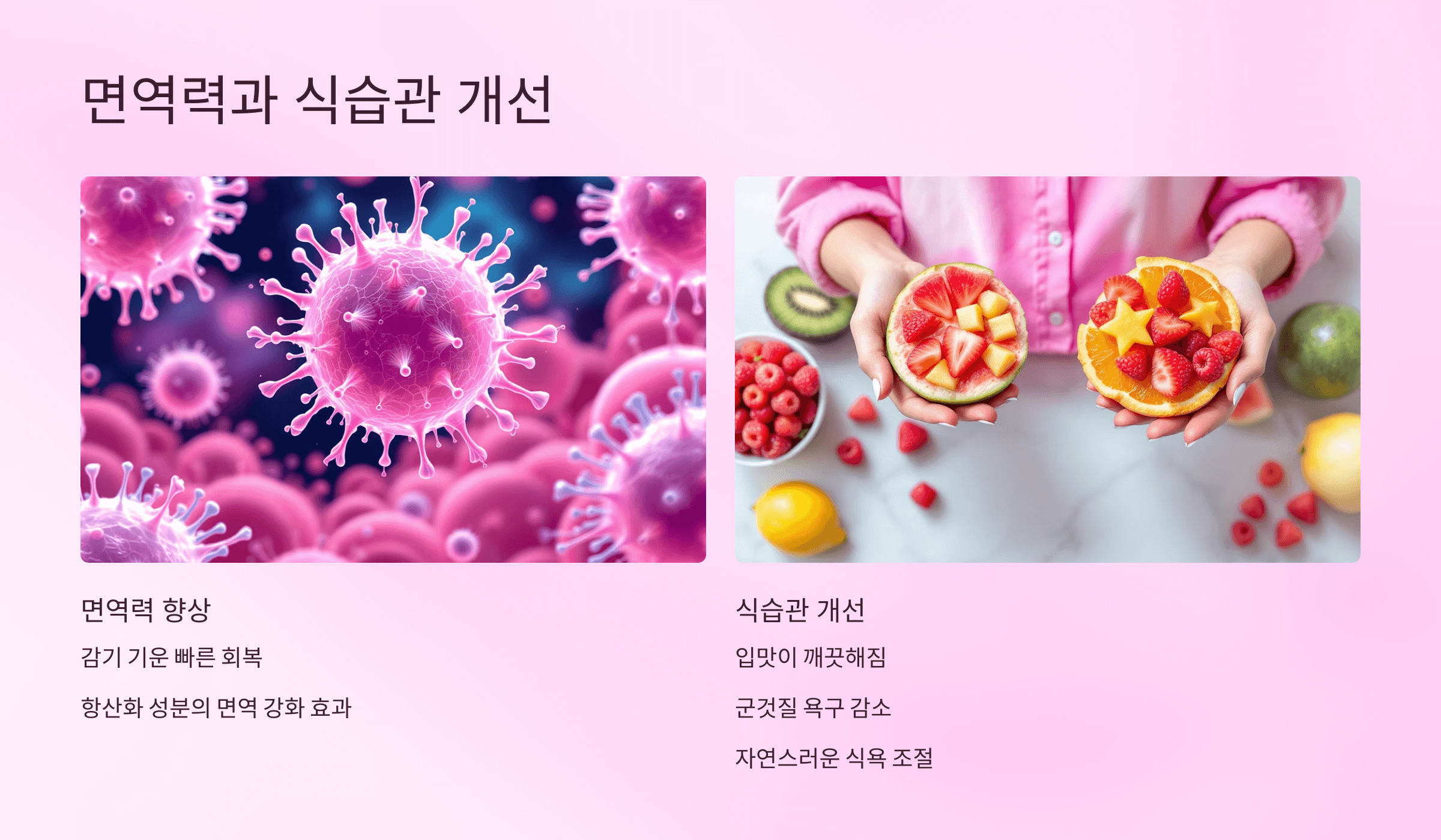히비스커스 사진입니다.