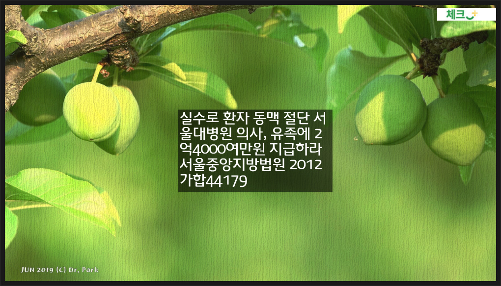 실수로 환자 동맥 절단 서울대병원 의사, 유족에 2억4000여만원 지급하라
