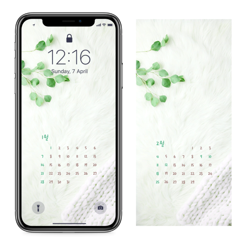 03 흰색 털 AB - 2024년1월 아이폰달력배경화면